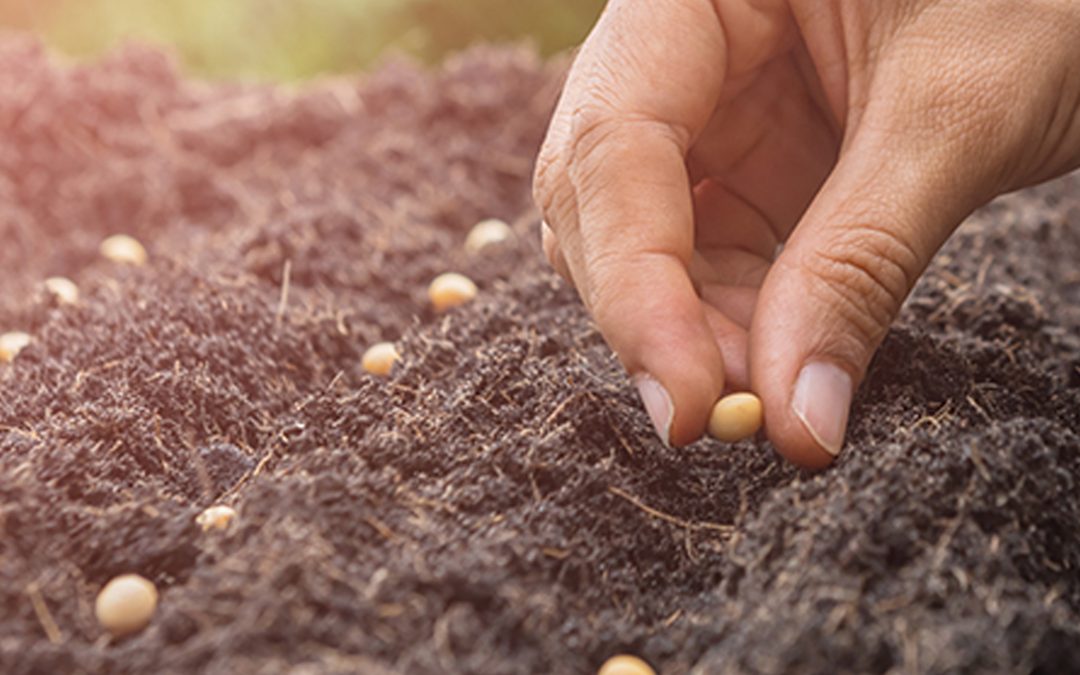 Ag Marketing: Plant Seeds Now